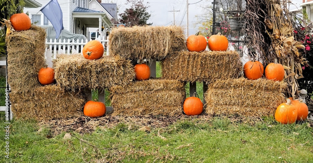 Hay Bale