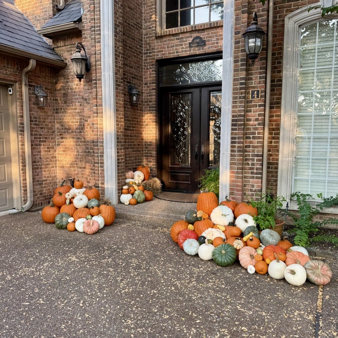 3. Pumpkin Deluxe