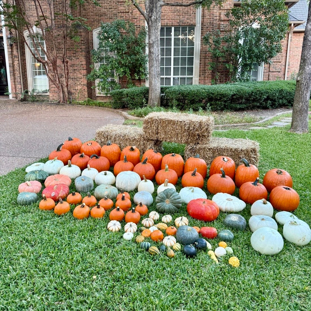 3. Pumpkin Deluxe