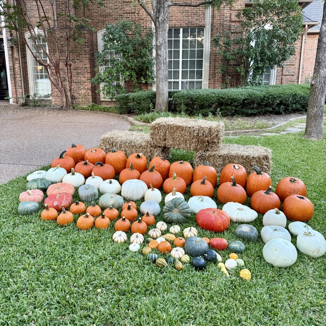 3. Pumpkin Deluxe